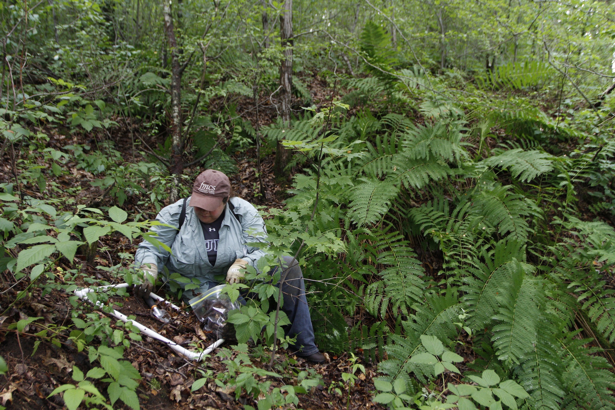 perez collecting leaf litter in forest